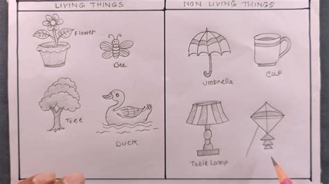 drawing of living things|Figure drawing: A beginner's guide .